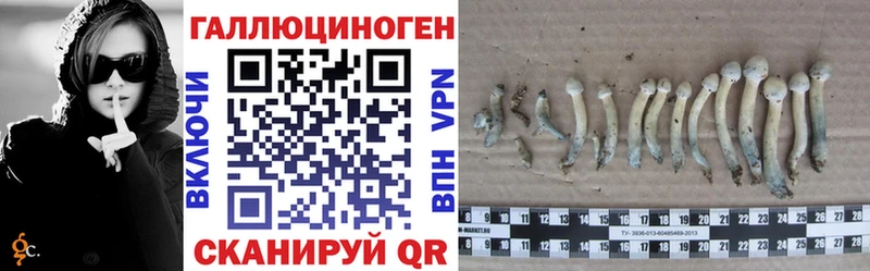 Псилоцибиновые грибы Psilocybe Юрюзань